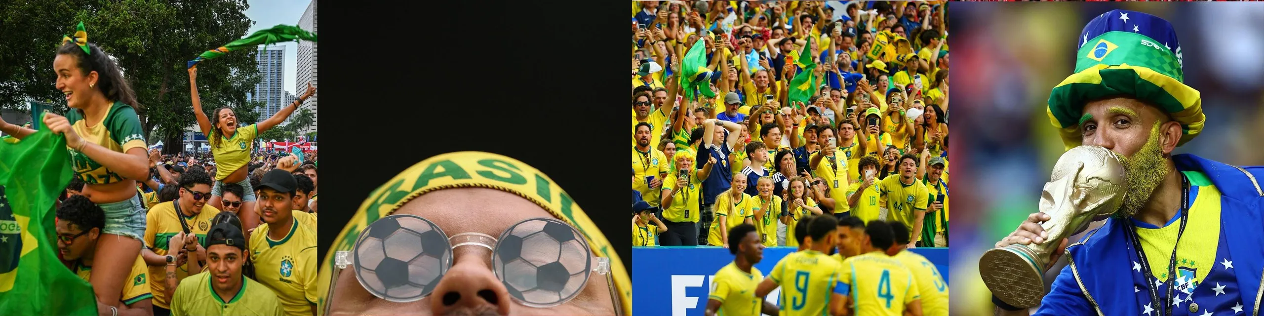 Brazil fans