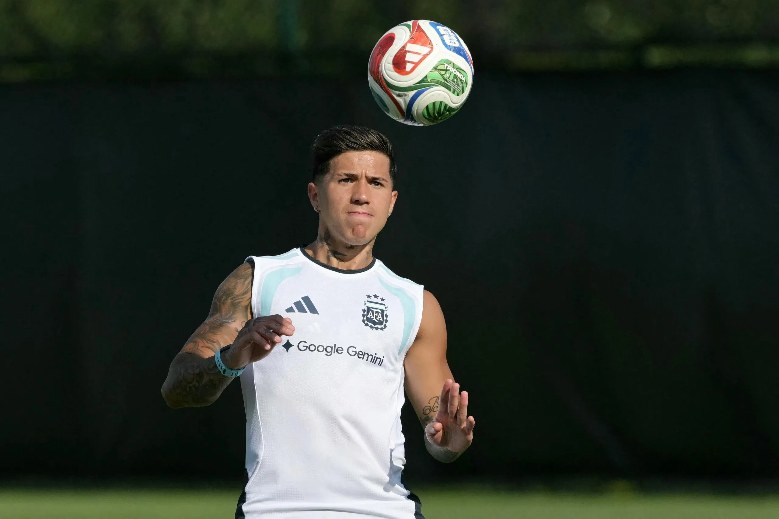 Enzo Fernández in training with Argentina